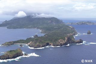 Evolution in Paradise: Ogasawara Islands｜NHK/NHK Enterprises