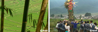 Life in Harmony with Nature: Bamboo Forest -- Yunnan Province, China｜NHK/NHK Enterprises