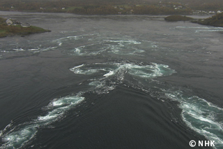 Life Under Giant Whirlpools: Saltstraumen｜NHK/NHK Enterprises