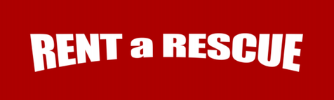 Rent-a-Rescue　レンタル救世主　出租救世主｜ NIPPON TV