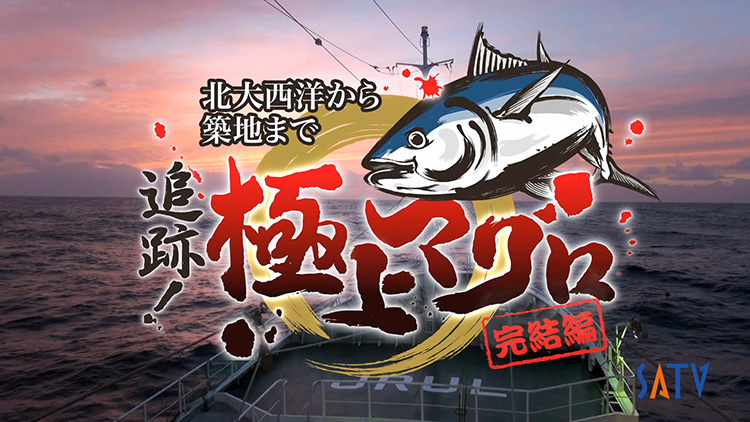 Pursue The Finest Tuna!,追跡！極上マグロ完結編,Shizuoka Asahi  Television,SATV,documentary